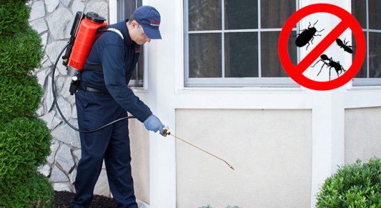 Halfeti Hamam Böceği İlaçlama böcek ilaçlama ve haşere kontrolü — ilaclama-tr.com